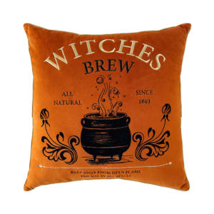 witch pillow